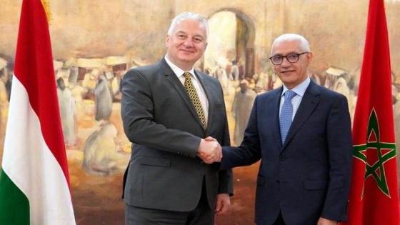 رئيس مجلس النواب السيد راشيد الطالبي العلمي يتباحث مع نائب الوزير الأول المجري