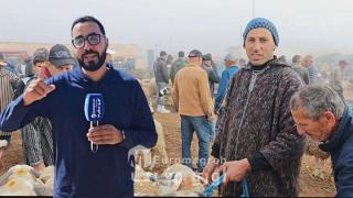 شاهد بالفيديو مع سفيان: انخفاض نسبي في أسعار الأضاحي بسوق “بني وكيل” نواحي العروي.. الخير موجود!