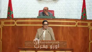 المنصوري : الحكومة سياسية بامتياز وسنناضل ضد تضارب المصالح ولا نقول “العام زين”