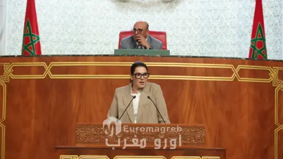 المنصوري : الحكومة سياسية بامتياز وسنناضل ضد تضارب المصالح ولا نقول “العام زين”