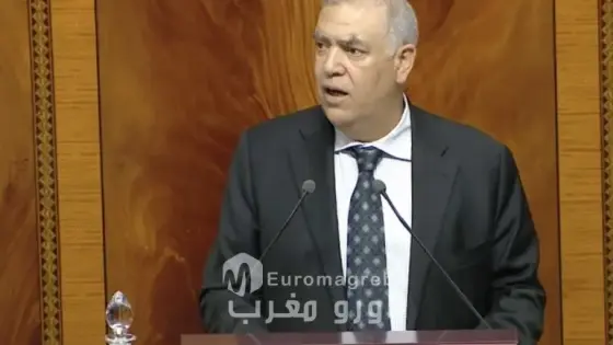 مجلس المستشارين يصادق على مشروعي قانون المندوبية السامية للتخطيط والنظام الإحصائي الوطني