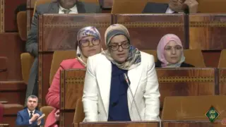 ثورية عفيف تطالب بإصلاح عاجل للوضعية المقلقة لمنظومة تفتيش الشغل