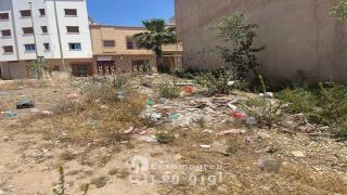 سلوان: ساكنة تجزئة “العمران” ترفع شكاية عاجلة للبشوية والمجلس الجماعي بسبب الكلاب الضالة والنفايات