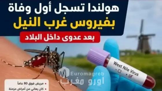 فيروس جديد يظهر في هولندا ويسجل أول وفاة بمدينة أوريخت