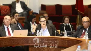 فاطمة الزهراء المنصوري تقدم مشروع قانون التجزئات العقارية والمجموعات السكنية وتقسيم العقارات