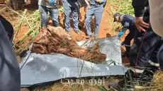 العثور على رفات شخص اختفى بأزيلال منذ 2006 بعد اعتراف أحد جيرانه