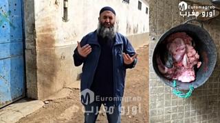 حملة تفتيشية بـ “بني شيكر” تطيح بـ “مخزونات مشبوهة” من أحشاء المواشي.. والهدف: حماية المستهلك
