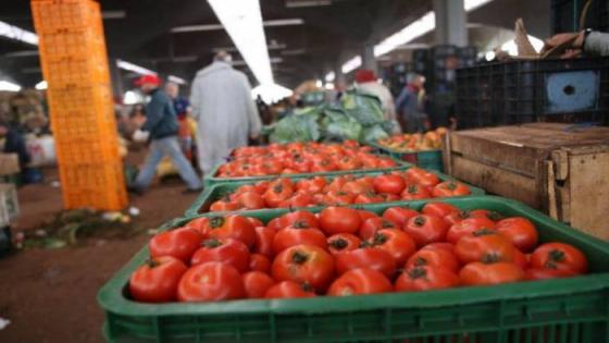 La tomate marocaine attaquée par l’UEEA
