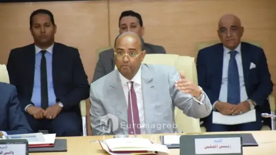 بالإجماع.. مجلس جهة العيون الساقية الحمراء يصادق على اتفاقيات تنموية خلال دورة مارس