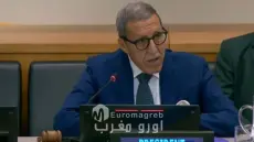 الأمم المتحدة: عمر هلال يشارك في رئاسة اجتماع رفيع المستوى حول الذكاء الاصطناعي قبيل انعقاد أول حوار عالمي في جنيف
