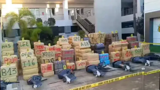 على ضوء معلومات “لا ديستي”.. تفكيك شبكة إجرامية تنشط في الاتجار والتهريب الدولي للمخدرات .