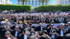 عاجل.. في وقفة تاريخية أمام البرلمان.. المحامون يطالبون بسحب مشروع قانون المهنة