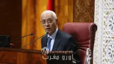 راشيد الطالبي العلمي: العلاقات الخارجية والدبلوماسية البرلمانية جوانب أساسية من عمل مجلس النواب
