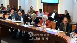 البرلماني الاستقلالي محمد إدموسى يواكب مناقشة مشروع قانون الخبراء القضائيين بلجنة العدل والتشريع