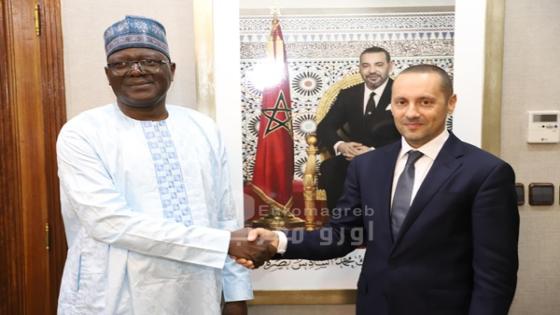 Le renforcement de la coopération bilatérale dans le domaine de la santé au centre des entretiens entre le Ministre de la Santé et de la Protection Sociale et son homologue Nigérien