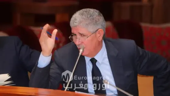أحمد تويزي يتصدر الأسئلة البرلمانية دفاعاً عن قضايا إقليم الحوز خلال الولاية التشريعية الحالية