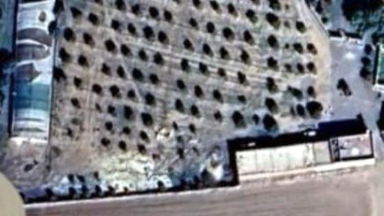 بيان توضيحي بخصوص مشاريع الدواجن بدوار أولاد احميدة: النيابة العامة تؤكد عدم صحة الادعاءات