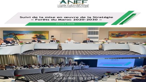 الوكالة الوطنية للمياه والغابات تعزز الحوار مع شركائها بشأن تنفيذ استراتيجية “غابات المغرب 2020-2030”