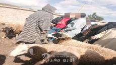 إقليم الحسيمة.. رواج تجاري بسوق بني بوفراح وأسعار الأكباش تبدأ من 2000 درهم