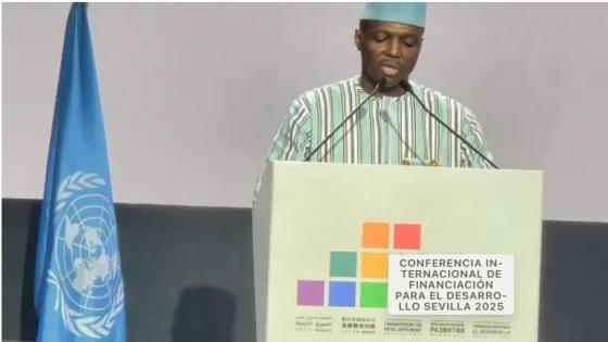 Terrorismo en el Sahel: Malí señala a Argelia