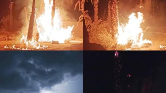 صاعقة برق تتسبب في اندلاع حريق مهول أتى على أكثر من 15 نخلة بجماعة بني زولي