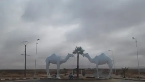 طانطان: جولة ميدانية لفائدة مستثمرين بريطانيين للاطلاع على المؤهلات الاقتصادية التي تزخر بها المنطقة