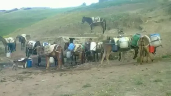 العطش يفاقم من معاناة ساكنة داور اولاد العادل بجماعة بوريمة بجرسيف