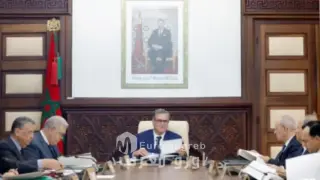 مجلس الحكومة يصادق على مشروع مرسوم يتعلق بإحداث مناطق تصدير حرة بالمنطقة الخاصة للتنمية طنجة المتوسط.