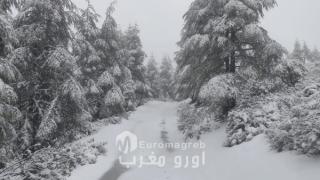 الثلوج تتلالأ على مرتفعات جبال الريف بكتامة ضواحي الحسيمة