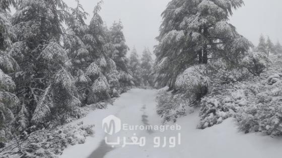 الثلوج تتلالأ على مرتفعات جبال الريف بكتامة ضواحي الحسيمة