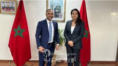 Marruecos está diseñando un marco energético transafricano visionario para suministrar a Europa, para 2030, electricidad renovable