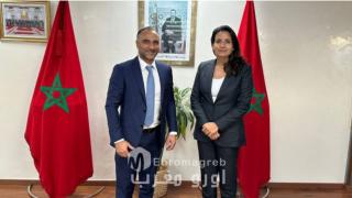 Marruecos está diseñando un marco energético transafricano visionario para suministrar a Europa, para 2030, electricidad renovable