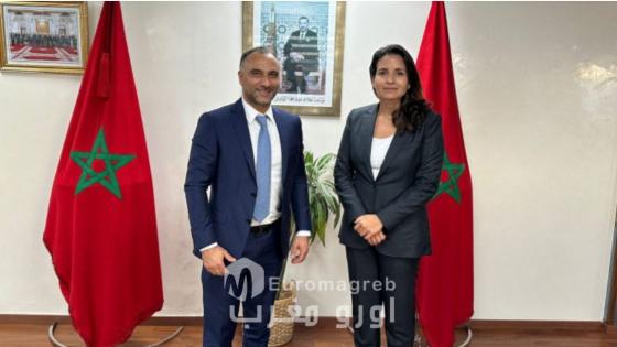 Marruecos está diseñando un marco energético transafricano visionario para suministrar a Europa, para 2030, electricidad renovable