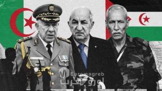 **Una Organización condena y denuncia los crímenes del Polisario en Tinduf **