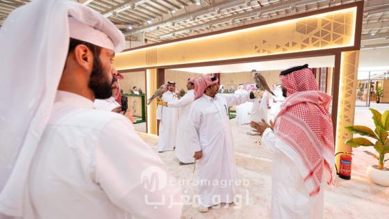 السعودية: انطلاق فعاليات “المزاد الدولي لمزارع إنتاج الصقور 2026”