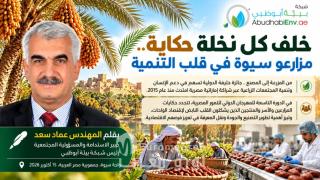 خلف كل نخلة حكاية.. مزارعو سيوة في قلب التنمية