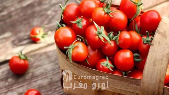 *Tomates cherry: los productores españoles señalan la competencia de Marruecos*