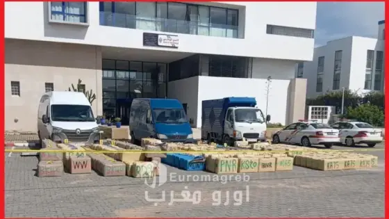 الصويرة: إحباط محاولة للتهريب الدولي للمخدرات وحجز 11 طنا و 755 كيلوغراما من مخدر الشيرا