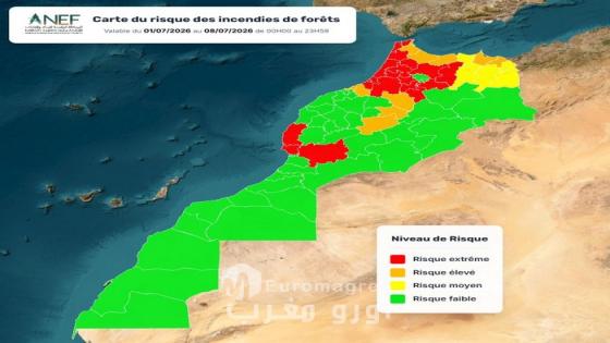 تنبيه من الدرجة القصوى: الوكالة الوطنية للمياه والغابات تحدد أقاليم المملكة المهددة بـ “الحرائق الغابوية” حتى 8 يوليوز