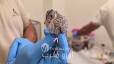 المحافظة على طائر الزركيل المهدد بالانقراض: الوكالة الوطنية للمياه والغابات تعزز الجهود قصد حماية هذا النوع المهدد بالانقراص.