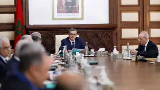 أخنوش يعلن إعفاء المواد الفلاحية و المنتجات الغذائية من “TVA” لخفض الأسعار