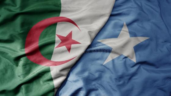 Desinformación expuesta: Mogadiscio refuta las fantasías argelinas en torno a la cuestión del Sáhara