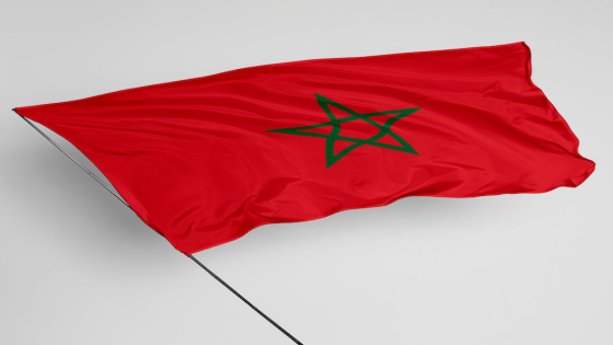 تقرير – تحول رقمي شامل : رؤية مستقبلية لتطوير المغرب