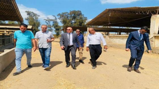 “عمال مصر” يضخ استثمارات بـ500 مليون جنيه في كفر الشيخ لتنمية مشروعات الثروة الحيوانية بالتعاون مع وزارة الزراعة