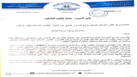 جمعية حقوقية تطالب بالتدخل العاجل لرفع الضرر الناتج عن انتشار الكلاب الضالة بإقليم الناظور