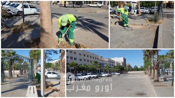 بعد شكايات سائقي سيارات الأجرة الكبيرة.. “كازا تيكنيك” تتدخل لتنظيف محطة 3 مارس بالناظور
