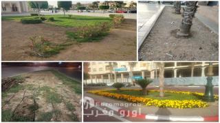 المساحات الخضراء بوجدة جهود واعدة تهددها معضلة الصيانة