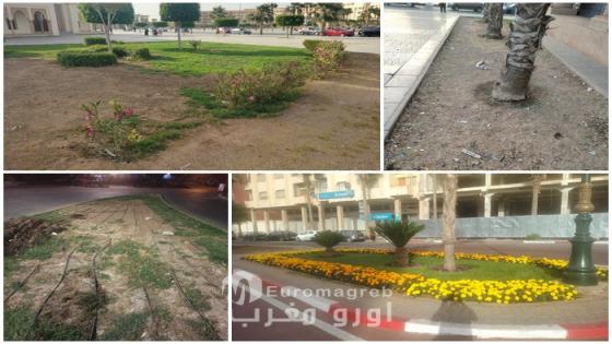المساحات الخضراء بوجدة جهود واعدة تهددها معضلة الصيانة