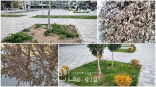 الإهمال يهدد المساحات الخضراء بوجدة