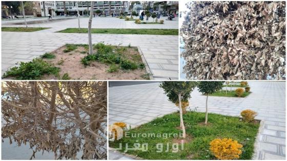 الإهمال يهدد المساحات الخضراء بوجدة